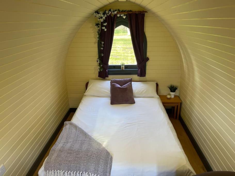 Belle Vista Glamping & Camping يورك المظهر الخارجي الصورة
