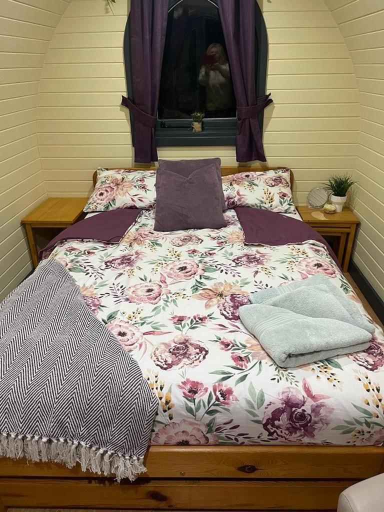 Belle Vista Glamping & Camping يورك المظهر الخارجي الصورة