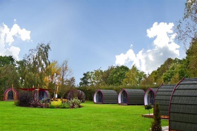 Belle Vista Glamping & Camping يورك المظهر الخارجي الصورة
